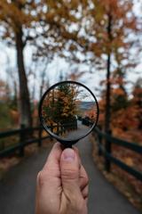 A magnifying glass in a forest.