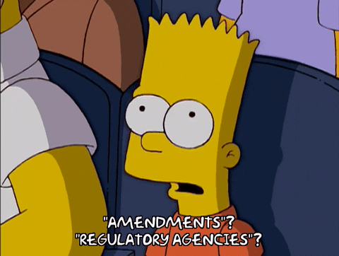 Animated GIF of Bart Simpson talking in fear of regulatory requirements.